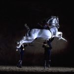 Andalusian Horses Dance Show