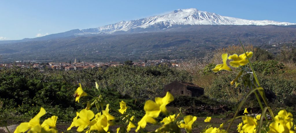 ETNA